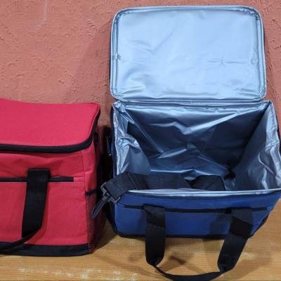 LARGE CAPACITY LUNCH/PICNIC BAG